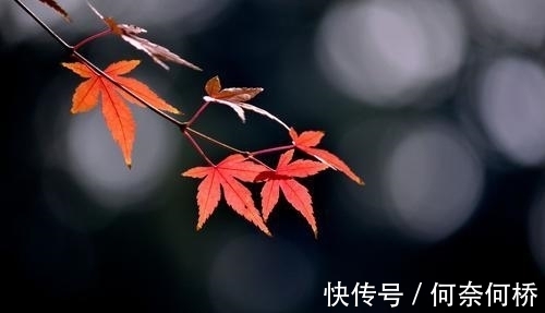 思想家&李觏的一首悲秋之作,跌宕起伏,结尾彰显出坦荡襟怀