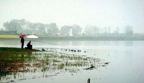白露|过了白露鲫鱼应该这样钓，就用这种钓法，大鲫鱼手到擒来！