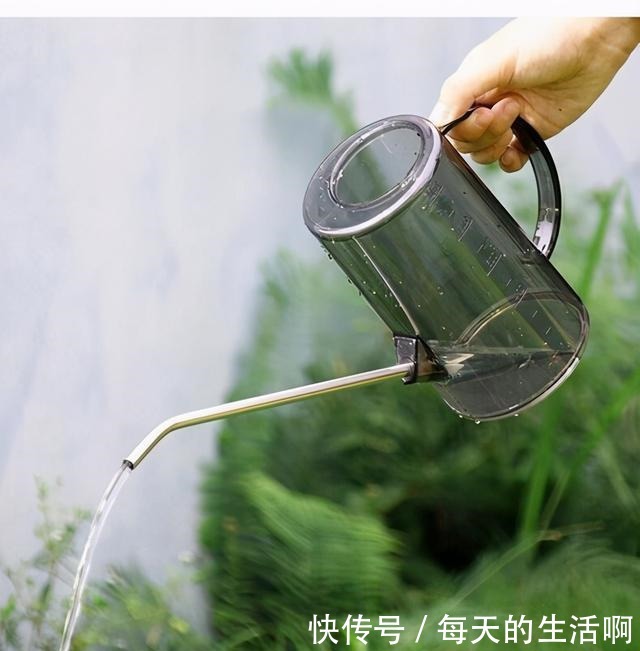 养花最忌讳的3种行为,每一个都会植物产生伤害!