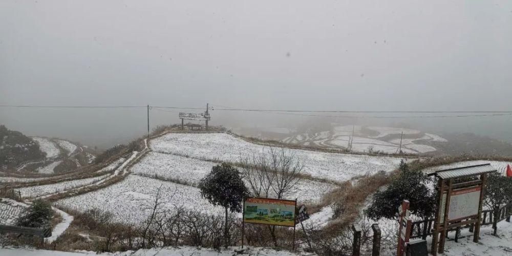 雪景|丽水这些地方下雪了，美炸了~最新雪景美图，请签收