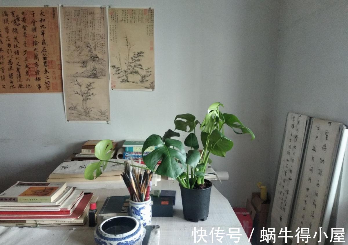 卧室|室内养花不能贪多,养得太多对身体不好,适量最重要