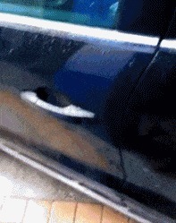 |搞笑GIF趣图:谁出馊点子,给我出来,我保证不弄死你!