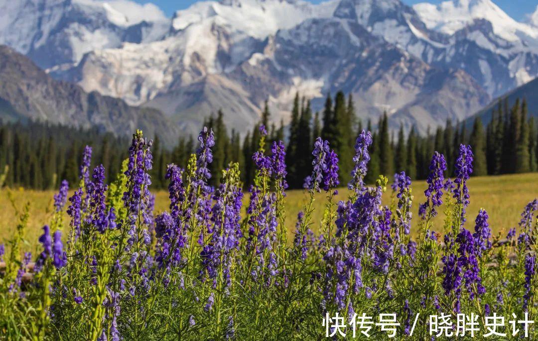 桂林山水|15个适合一家人的地方，带父母去旅行吧，再不出发他们真的老了！