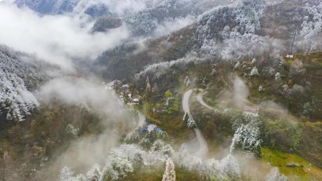 县区|初雪！周边县区雪景美图来袭！