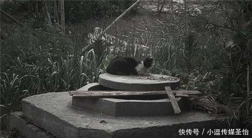 清朝|清朝奇案:两道士借宿佛庵,后来与两和尚同死枯井,作案动机成谜