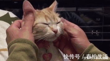 耳朵|耳朵上有张“保健地图”，每天这样揉5分钟，哪里不适调哪里