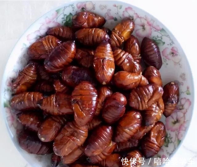 36款顶配东北家常菜，你都吃过吗