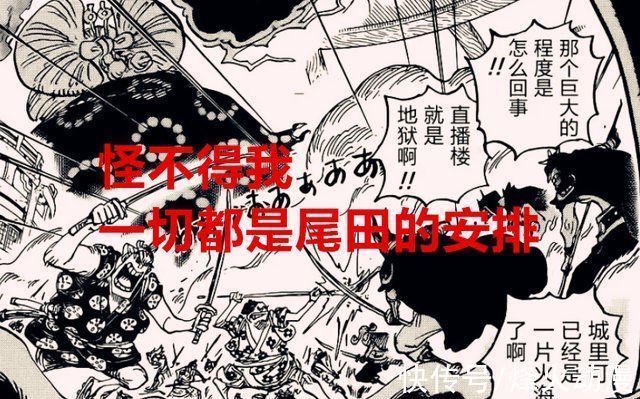 和之国|海贼王1031话解析新世界的四皇,只有他是正常的,其他都是辣鸡