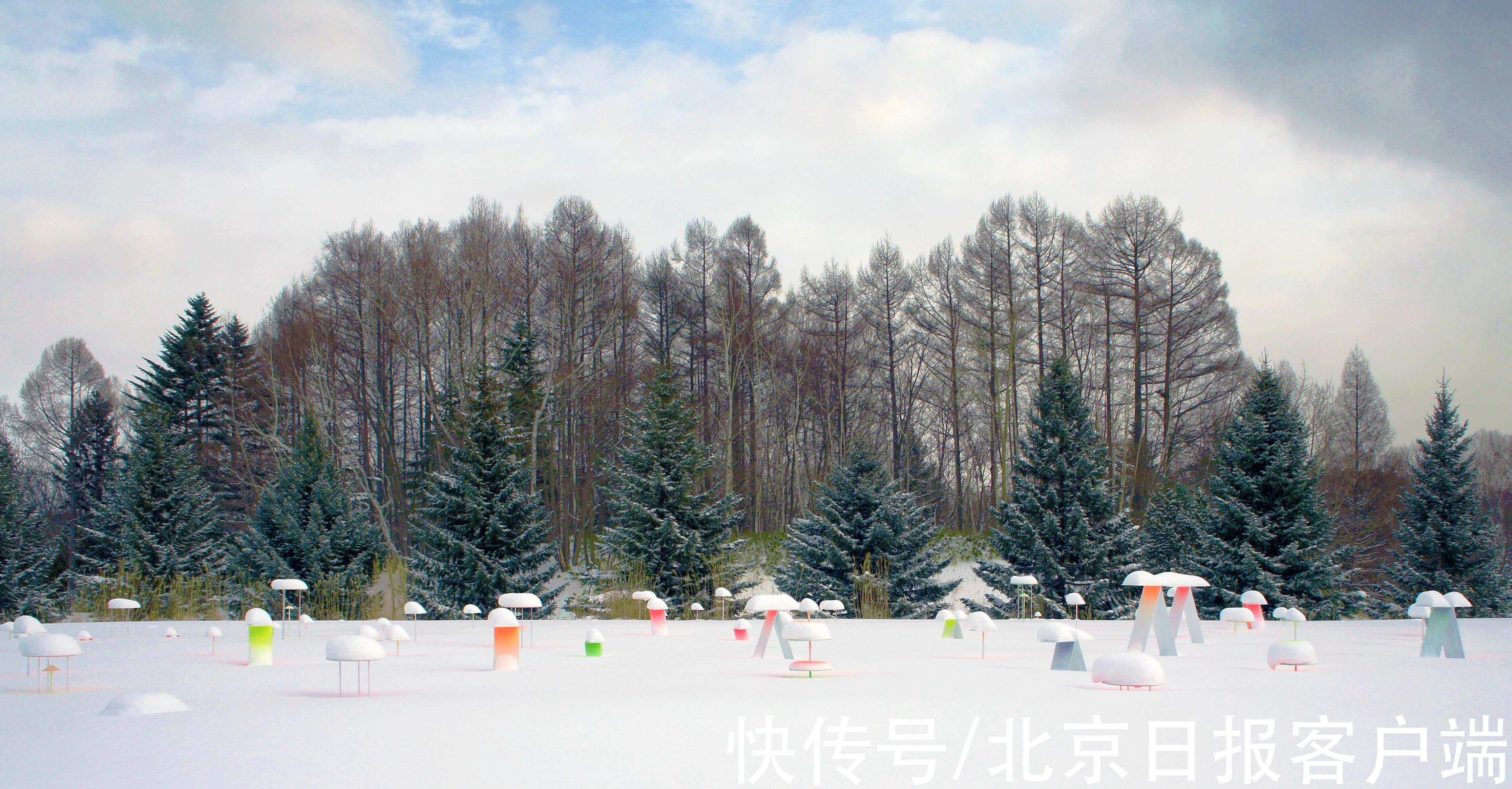 北海道|雪托盘承载札幌的原始美