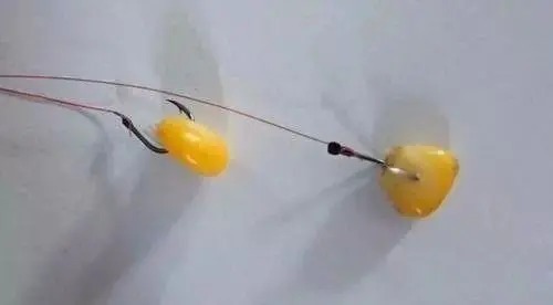 总是半路跑鱼?不要担心,你这样调子线和钩距试试!