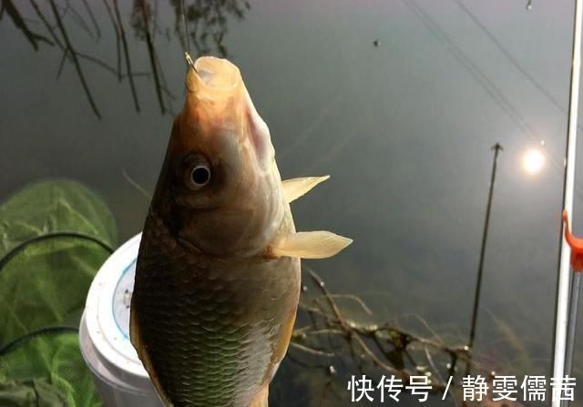 野钓千万别着急下竿,先做好这几个步骤,才能保证渔获告别空军