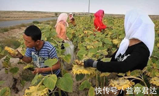 橘子皮|此物是“天然安眠药”，经常吃，一觉安枕到天明