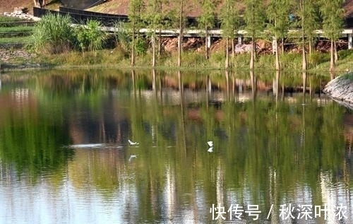 语种|“生态+智慧” 两江新区礼嘉智慧馆落成亮相迎2021智博会