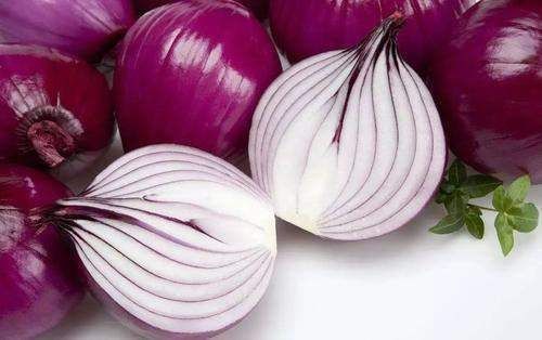 洋葱,饵料界的新宠,用此物开饵,冬天钓鱼不愁鱼不进窝