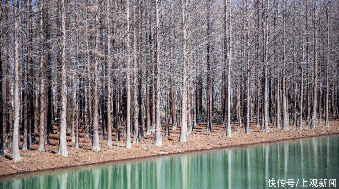 西沙湿地开园啦