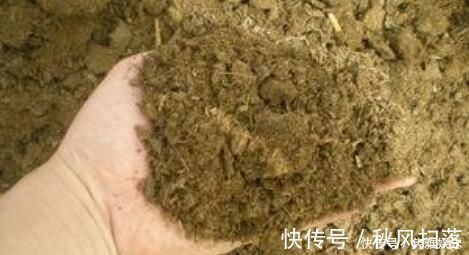 土壤|养花土壤板结,三种“玩意儿”丢盆里,土又好又肥,再也不板结了