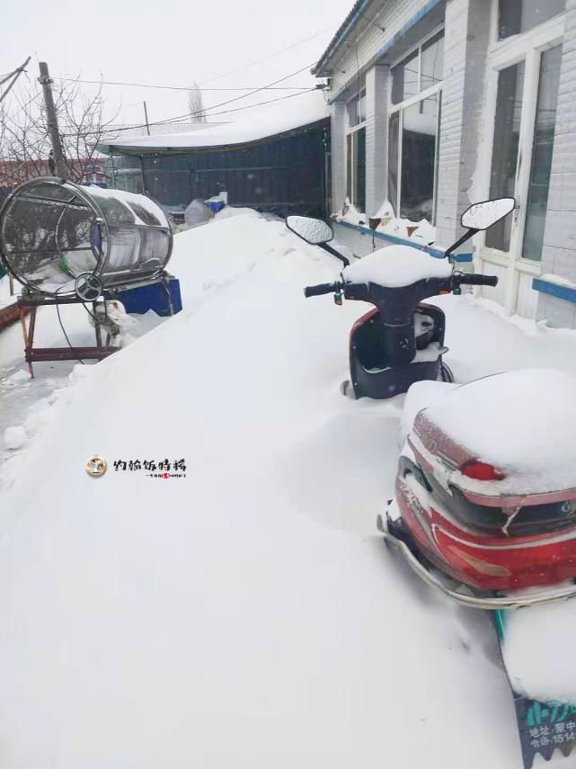 满地|东北就是个“天然大冰柜”,满地都是饺子,南方人表示:简直太豪