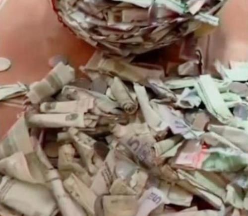 小孩|妈妈趁女儿不在家,偷偷打开孩子“小金库”,画面让她不淡定了