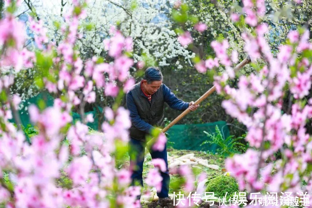 在乡下改造一个小院，种菜养花天天都是乡村田园梦，生活如此惬意
