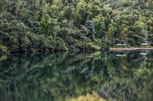 江苏南山竹海：一个“烂大街”的景区，却美如仙境