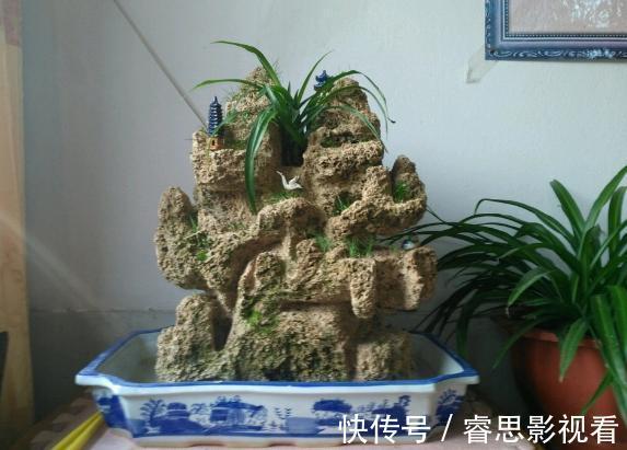 切割|原来石头、空酒瓶养花，不是“凑合”，而是“创意”啊！