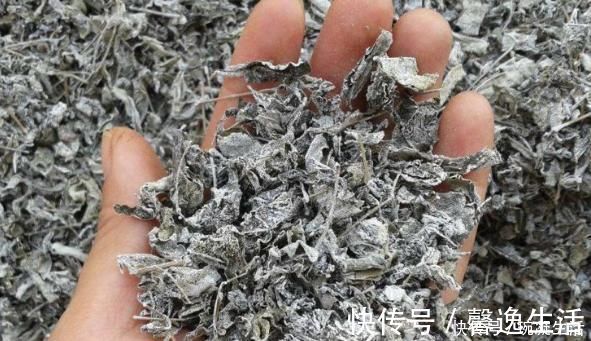 莓茶|此物是血管“疏通剂”,每天喝1杯,助你代谢胆固醇,对血管好!