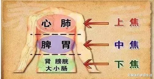 中国人欠猪油一声“对不起”,李时珍告诉你猪油惊人的好处