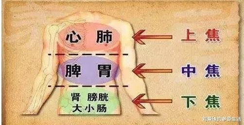 中国人欠猪油一声“对不起”，李时珍告诉你猪油惊人的好处