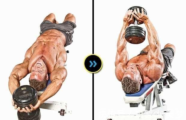 引体向上|训练背阔肌最好的7个动作,做对了让你的训练效果大不同