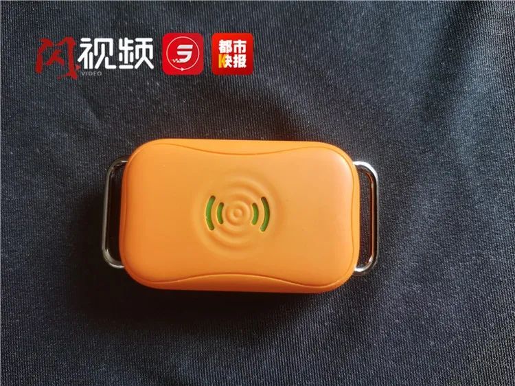 宠物狗|西安一大学研发智能狗牌，你家的宠物狗可以数字化管理了