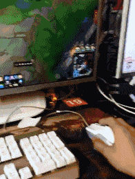 |搞笑GIF:你干嘛无缘无故扇我,不知道会扇得手疼吗?