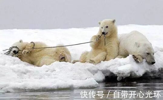 |笑话:看来这误会和媳妇解释不清了·