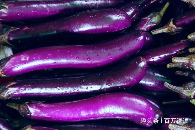 茄子|聪明人爱吃的4种食物,补充营养滋润肌肤!身体越来越健康