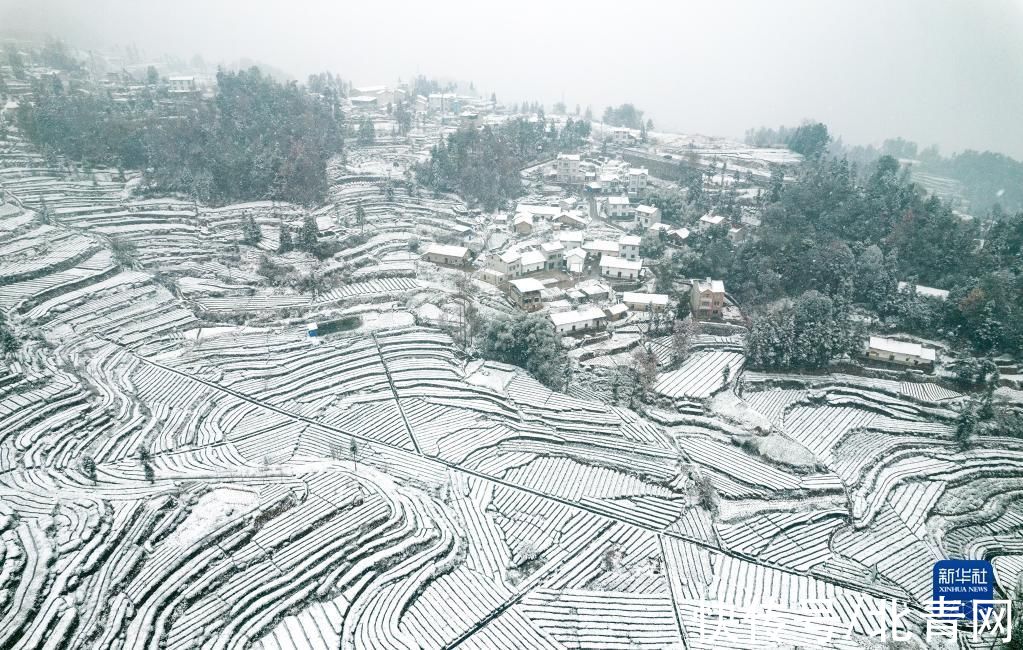 秭归县|全国多地迎降雪