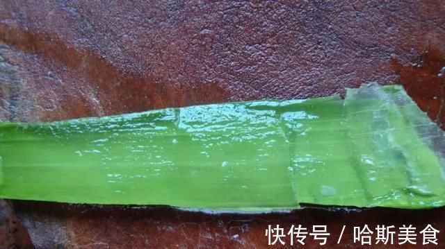 10年芦荟老桩,做成盆景超级好看,观赏价值特别高