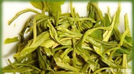 养花最容易犯的错误,不看会后悔的