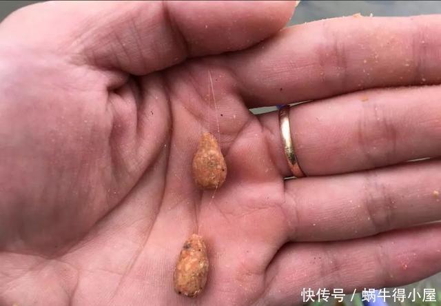 野钓很牛的一款饵料,自己在家就能做,学会以后好钓大鱼