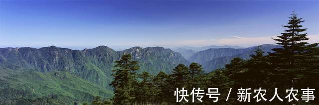 湖北一男子罕见钓获大鱼，发网上炫耀摊上事了，网友：可狱不可囚