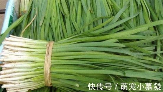 催熟|卖了20年菜的三婶透露:这4种常见的激素蔬菜要牢记,别买错了