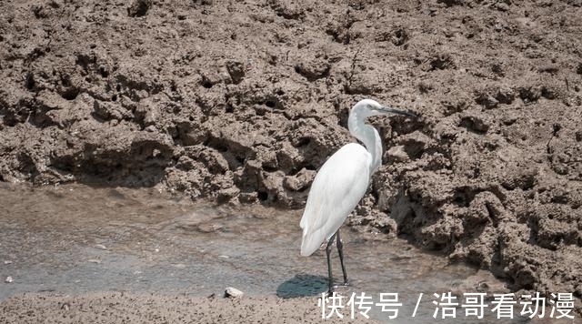 这座城|泉州申遗成功！这座千年古桥，见证了多少个潮起潮落，你去过吗？