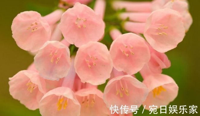 父母|孩子出生在阴历这3天,孝顺乖巧出人头地,父母享福生活美好