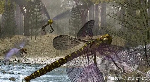 生物 地球的氧气增加一倍,会发生什么?可能螳螂比狗还要大