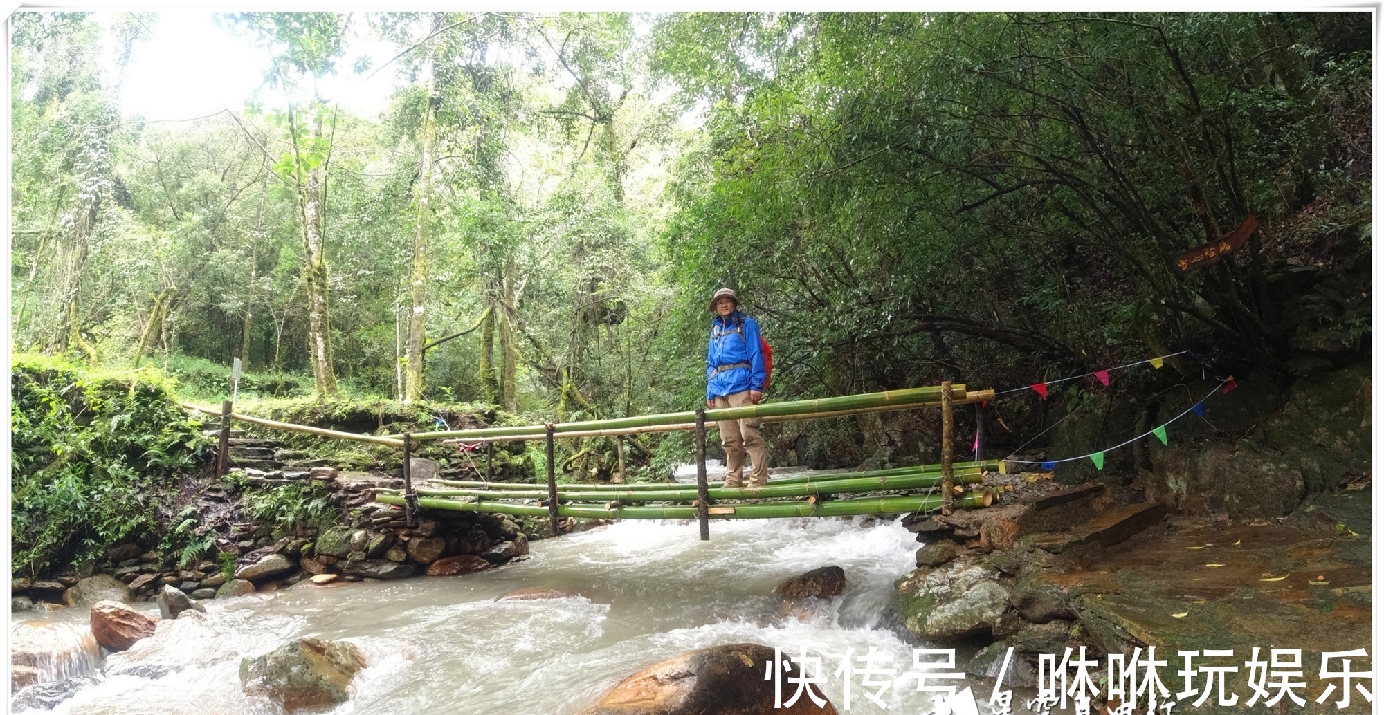 原始森林|自驾云南新平哀牢山，在雨中走茶马古道、体会马帮伙计的辛酸苦辣