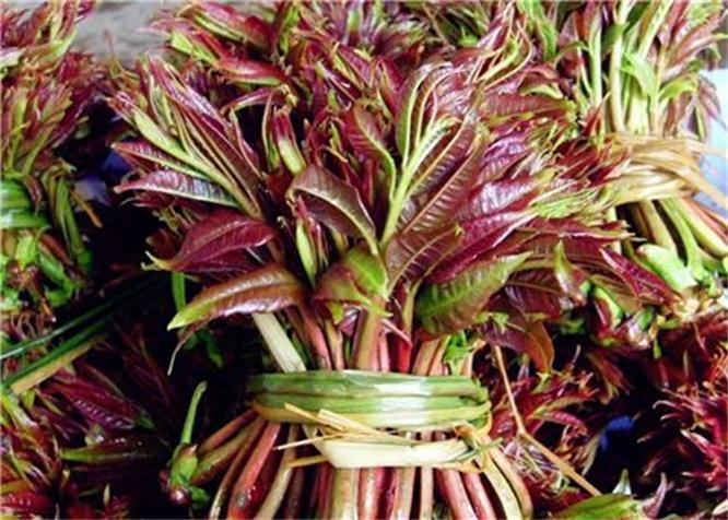 排毒养颜|女性到了中年常吃三种食物,补充营养,调理肠胃,消除身体疲劳