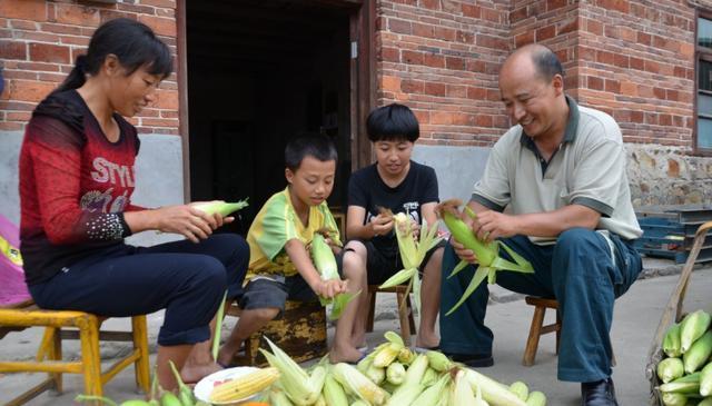 俗语|“坟对上，门对下，男对凸，女对凹”，农民常说的俗语是啥意思