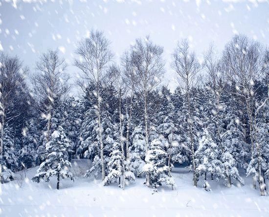 卧龙|成都冬季去哪儿玩？来冰雪秘境甘海子徒步看云海！