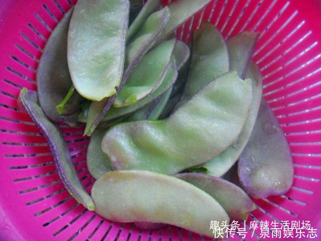 把扁豆放|我家一年吃几十斤,清脆鲜嫩,赶走湿气,家人常吃脾胃好