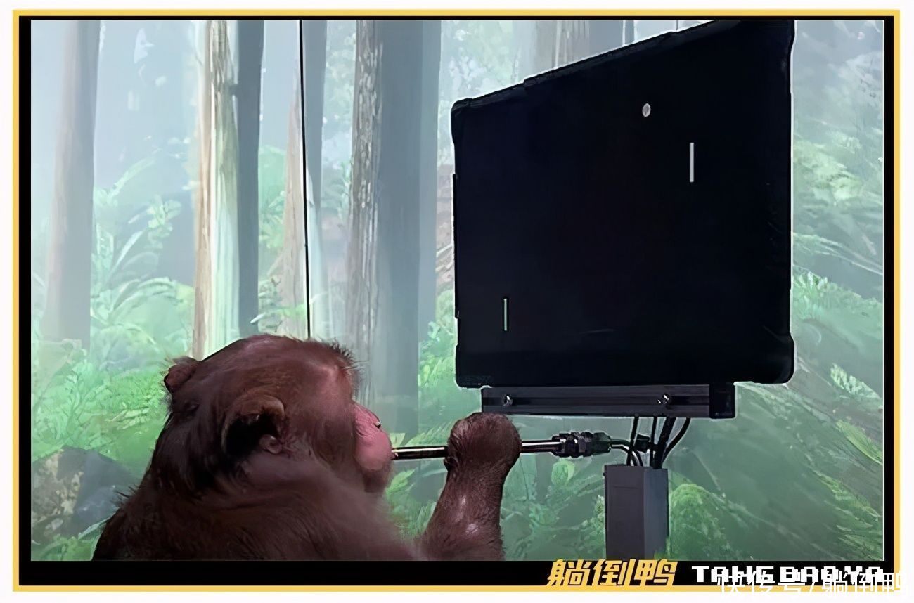 霍达克 特斯拉创始人又整新活:竟然要造一个“侏罗纪公园”?