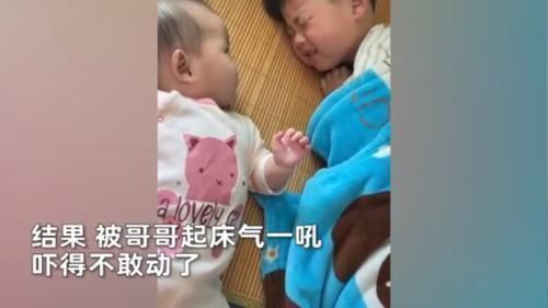 家长|萌娃叫哥哥起床,反被哥哥起床气一吼,吓到画面静止,笑翻网友!