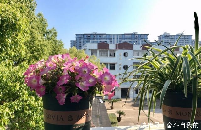 别再稀里糊涂养花了,这些基础常识,很重要!